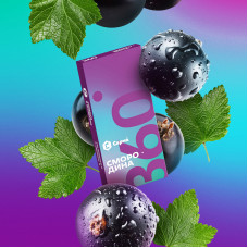 Сарма 360 (Легкая) Смородина 40г